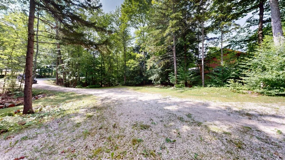 This exterior image showcases a peaceful gravel pathway surrounded by dense foliage and towering trees. The natural setting is inviting for leisurely walks, exploration, or relaxing while taking in the beauty of the outdoors. The open, green space and visible path suggest plenty of room for both people and pets to move freely.
